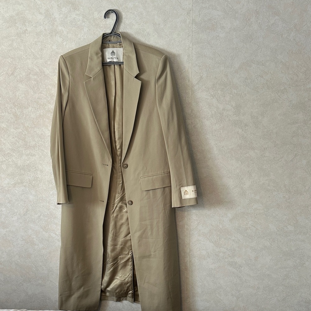 Aritzia o’Hara Coat